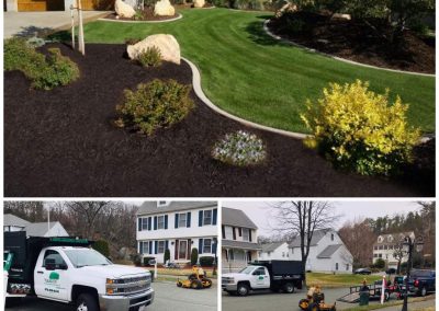 Landscaping Contractor